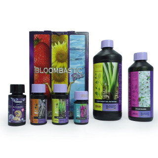 Bloombastic Box - Terre - BCuzz Atami