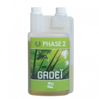 Phase 2 croissance 500 ml