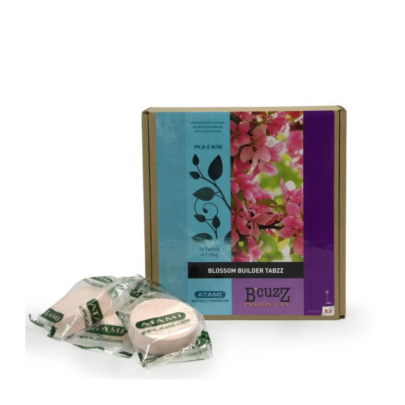 Blossom builder TABZZ x 16 b'cuzz atami Blossom builder TABZZ x 16 b'cuzz atami