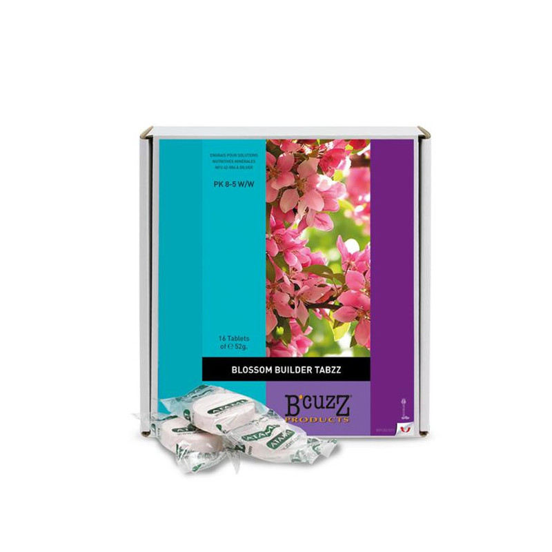 Blossom builder TABZZ x 16 b'cuzz atami Blossom builder TABZZ x 16 b'cuzz atami