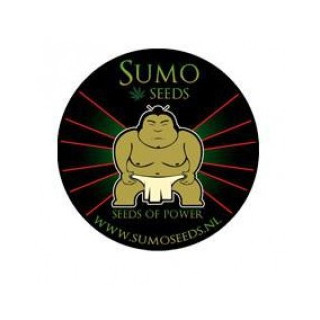 Plateau métal sumo seeds 18 x 14 cm