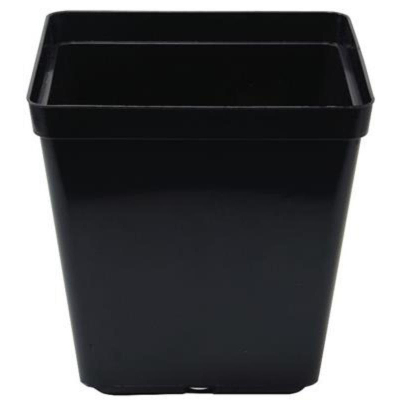 Pot carré noir 1,5 litre - 13 x 13 x 13 cm