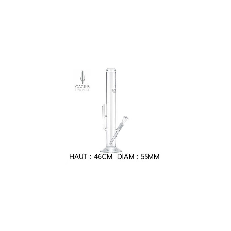 Bang en Verre Cactus 46cm