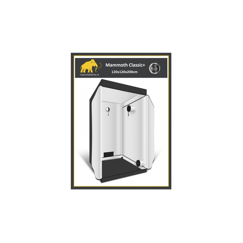 Box 120 x 120 x 200 cm - Mammoth classic+ Box 120 x 120 x 200 cm - Mammoth classic+