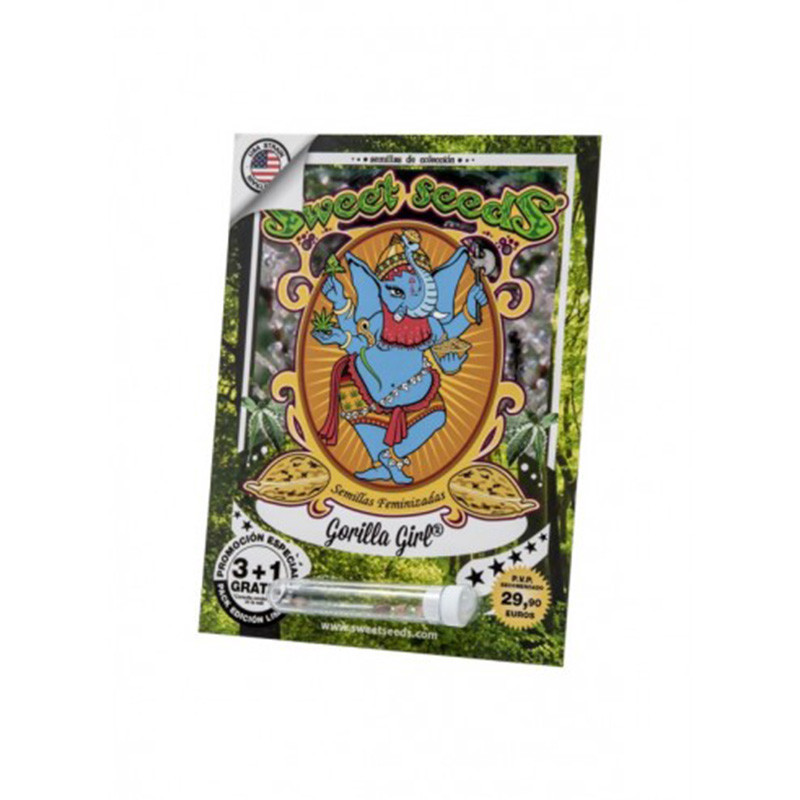 Gorilla Girl - Feminisée - Sweet Seeds - Graines de Collection Gorilla Girl - Feminisée - Sweet Seeds - Graines de Collection