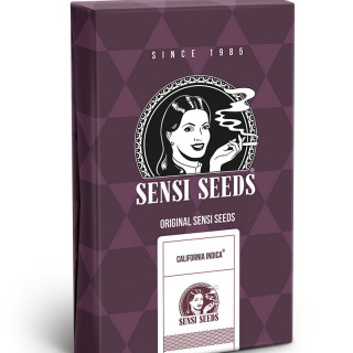 California Indica - Féminisée - Sensi Seeds
