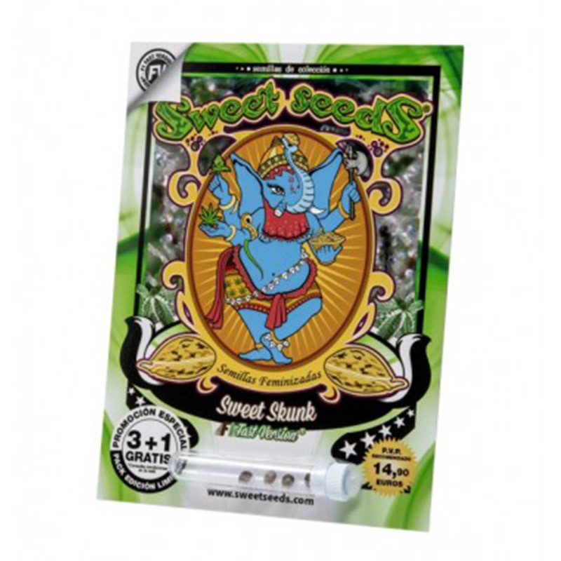 Sweet Skunk F1 Fast Version - Féminisée - Sweet Seeds - Graines de Collection Sweet Skunk F1 Fast Version - Féminisée - Sweet Seeds - Graines de Collection