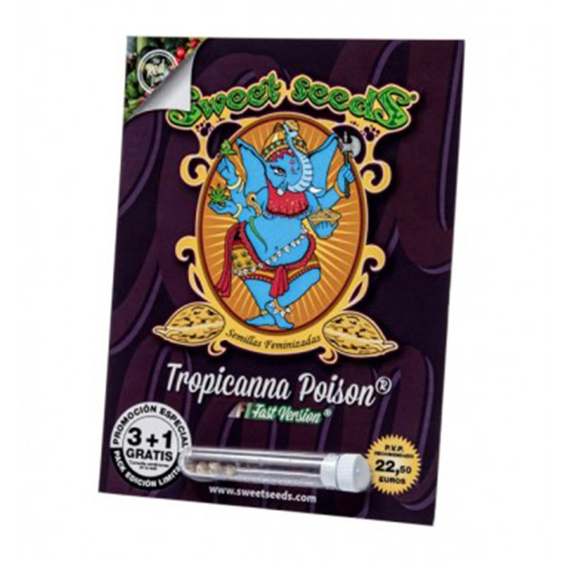 Tropicanna Poison F1 Fast Version - Féminisée - Sweet Seeds - Graines de Collection Tropicanna Poison F1 Fast Version - Féminisée - Sweet Seeds - Graines de Collection