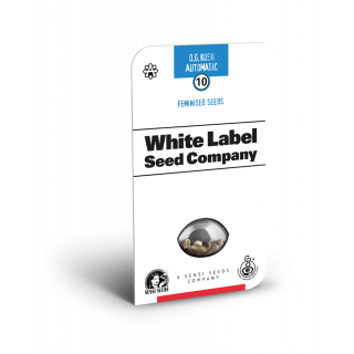 OG Kush Autofloraison - White label Sensi Seeds