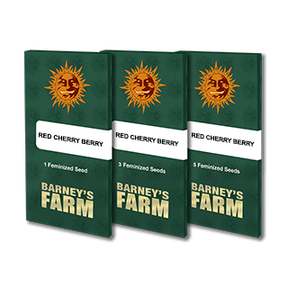 Red Cherry Berry - Féminisée - Barney's Farm | ROOTS-SEEDS.FR
