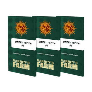 Sweet Tooth #1 - Féminisée - Barney's Farm | ROOTS-SEEDS.FR