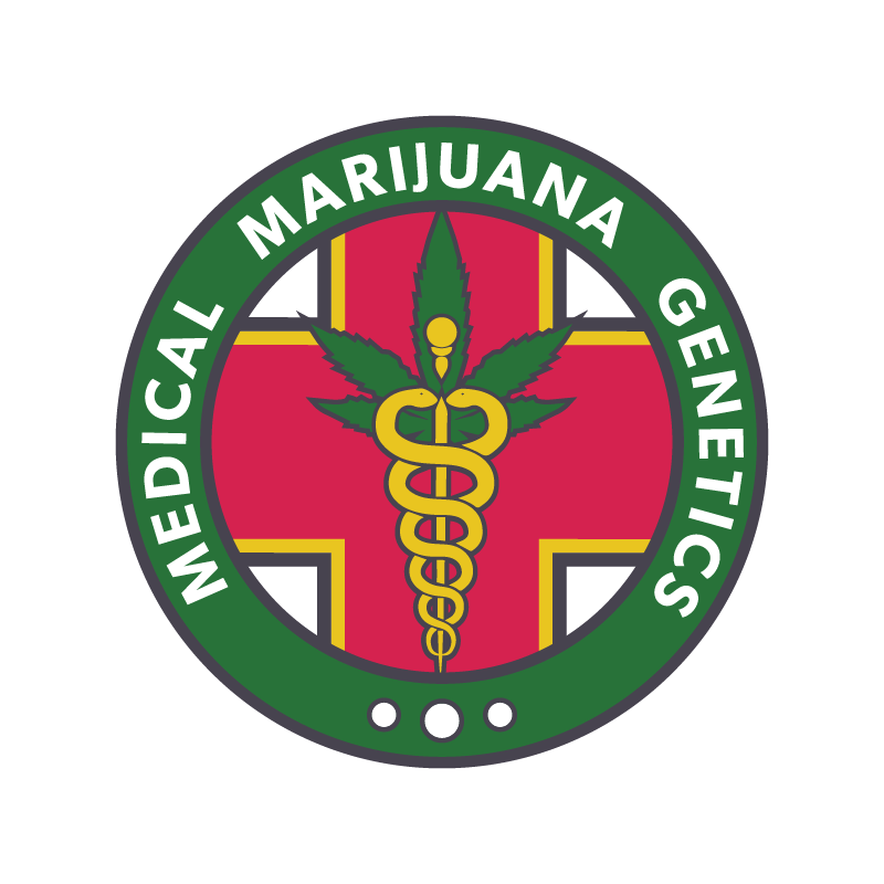 Nightingale NN1 medical marijuana genetics Nightingale NN1 medical marijuana genetics