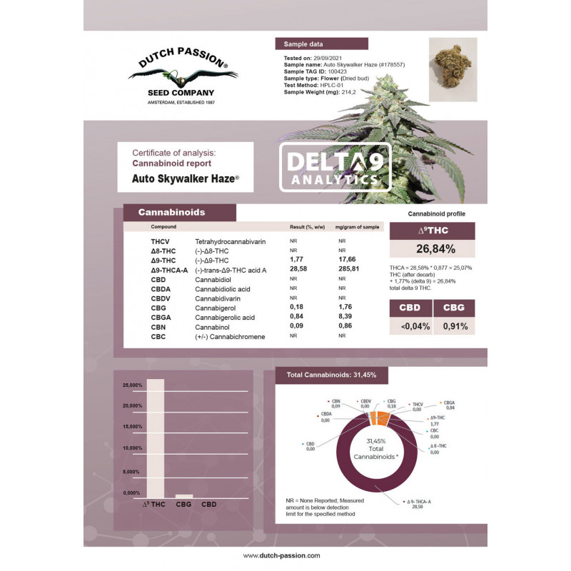 Skywalker Haze - Auto - Dutch Passion - Graines de collection Skywalker Haze - Auto - Dutch Passion - Graines de collection