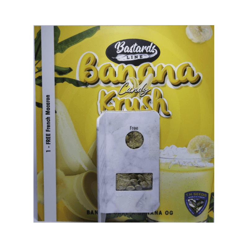 Banana Candy Krush - Féminisée - TH Seeds - Graines de collection Banana Candy Krush - Féminisée - TH Seeds - Graines de collection