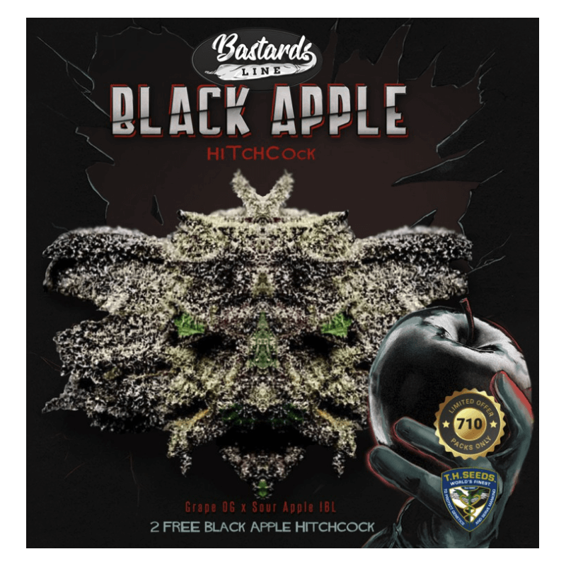 Black Apple Hitchcock Spécial Pack limited édition 5+3 - Féminisée - TH Seeds - Graines de collection Black Apple Hitchcock Spécial Pack limited édition 5+3 - Féminisée - TH Seeds - Graines de collection