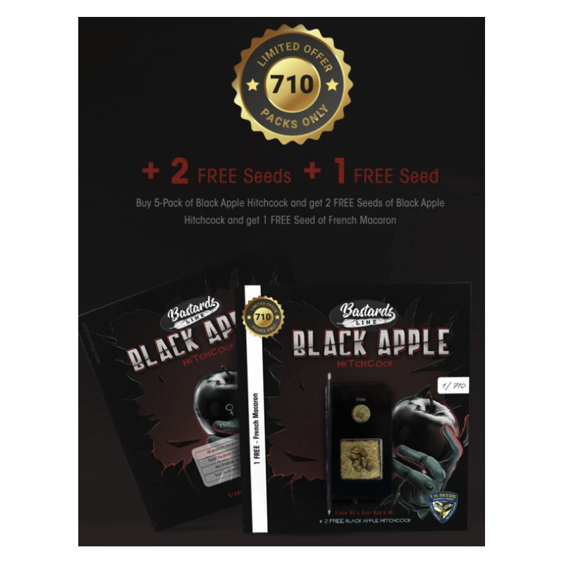 Black Apple Hitchcock Spécial Pack limited édition 5+3 - Féminisée - TH Seeds - Graines de collection Black Apple Hitchcock Spécial Pack limited édition 5+3 - Féminisée - TH Seeds - Graines de collection