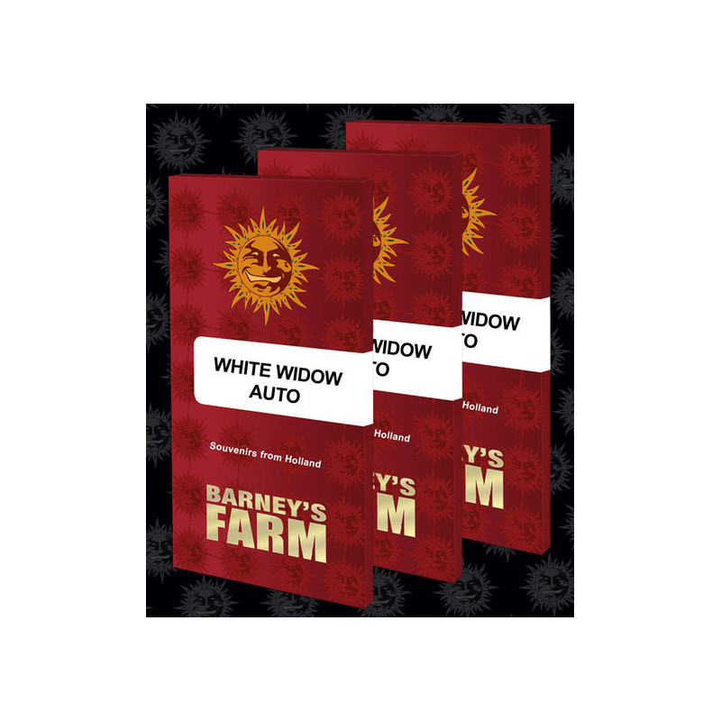 White Widow XXL Auto - Barney's Farm White Widow XXL Auto - Barney's Farm