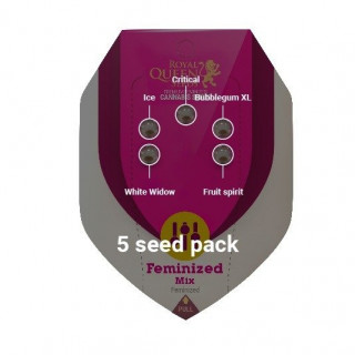 Feminized Mix - Royal Queen Seeds - Graines de Collection
