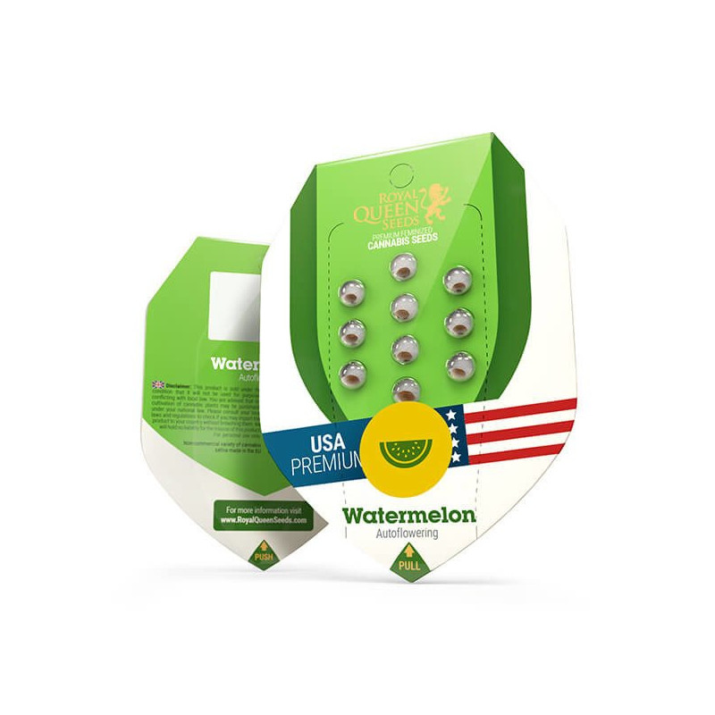 Watermelon - Automatic - Royal Queen Seeds - Graine de Collection Watermelon - Automatic - Royal Queen Seeds - Graine de Collection