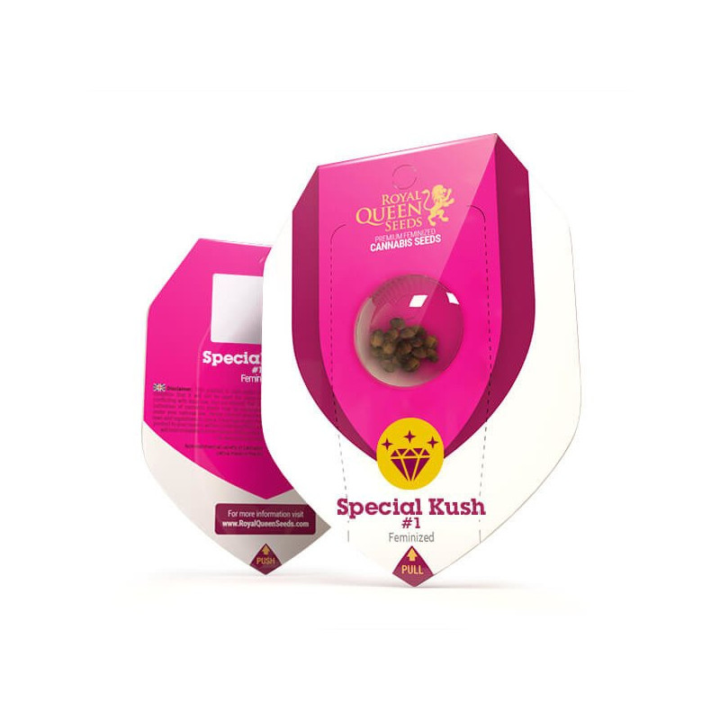 Special Kush 1 - Féminiseé - Royal Queen Seeds - Graines de Collection Special Kush 1 - Féminiseé - Royal Queen Seeds - Graines de Collection