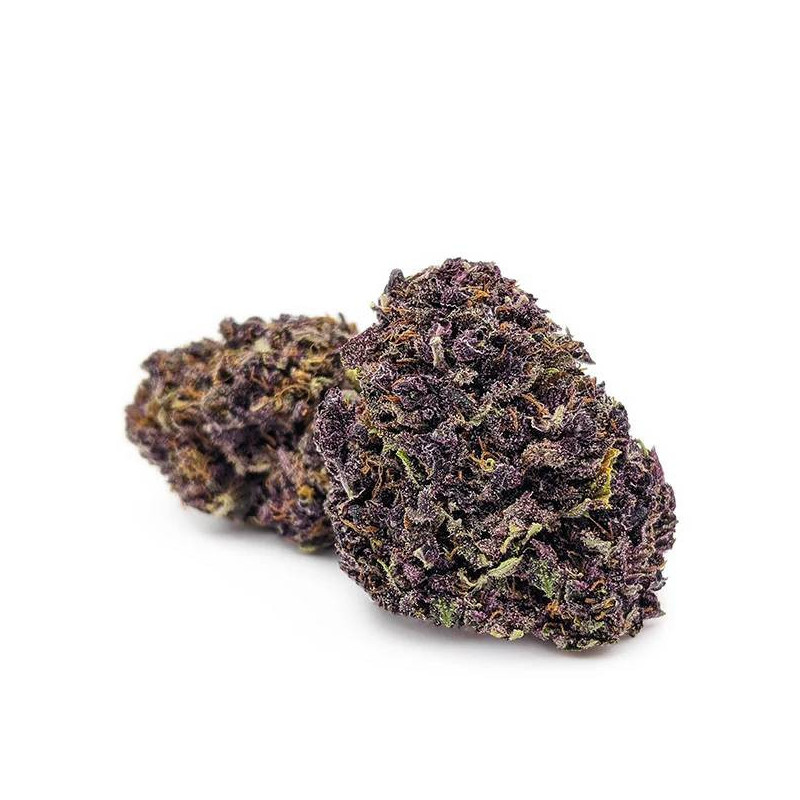 Purple Vrac - Hydro - Fleurs de CBD PRO