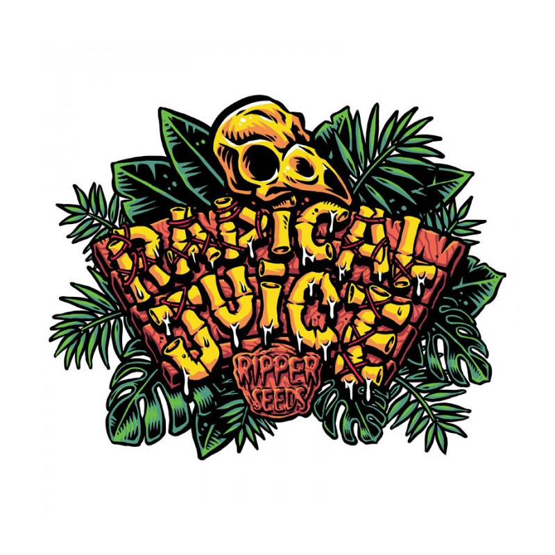 Radical Juice - Féminisée - Ripper Seeds - Graines de collection Radical Juice - Féminisée - Ripper Seeds - Graines de collection