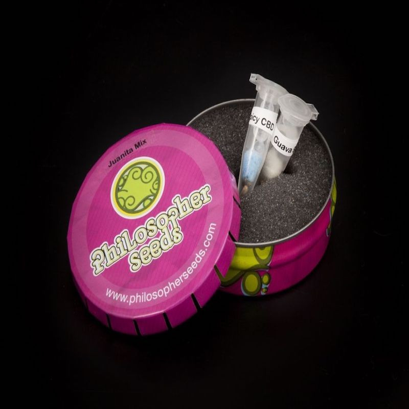 Juanita mix philosopher seeds Juanita mix philosopher seeds