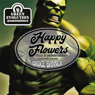 Bruce Banner - Green Evolution - Fleurs de CBD