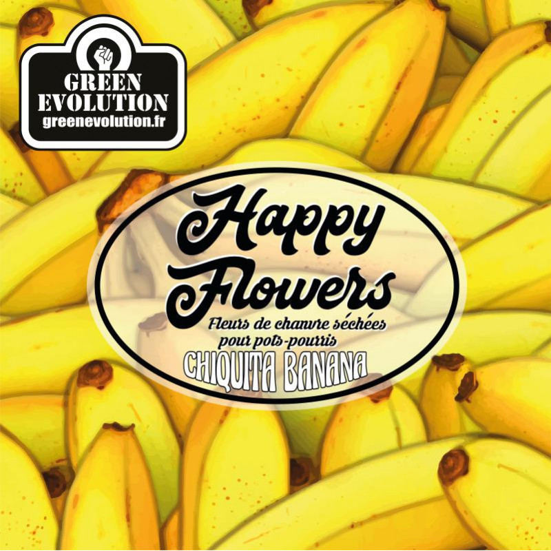 Chiquita Banana - New Version - Green Evolution - Fleurs de CBD Chiquita Banana - New Version - Green Evolution - Fleurs de CBD