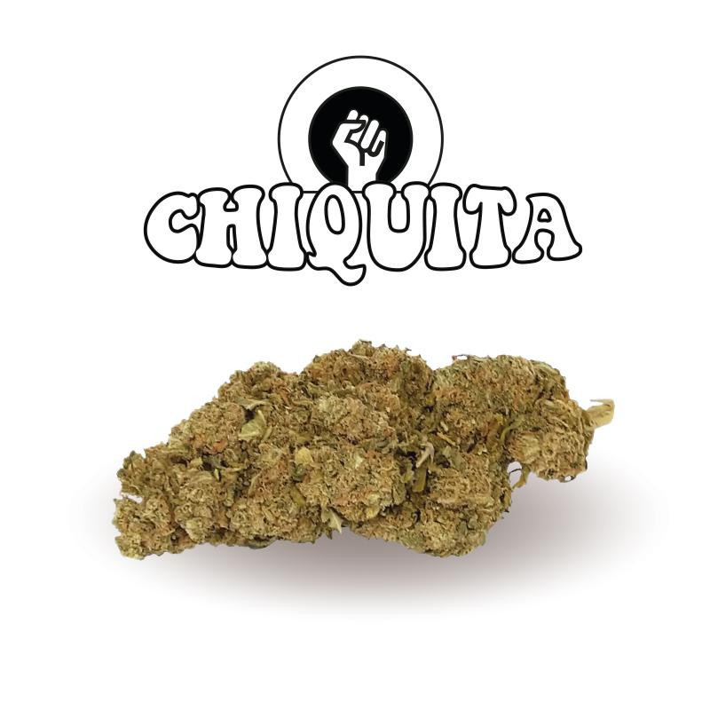 Chiquita Banana - New Version - Green Evolution - Fleurs de CBD Chiquita Banana - New Version - Green Evolution - Fleurs de CBD