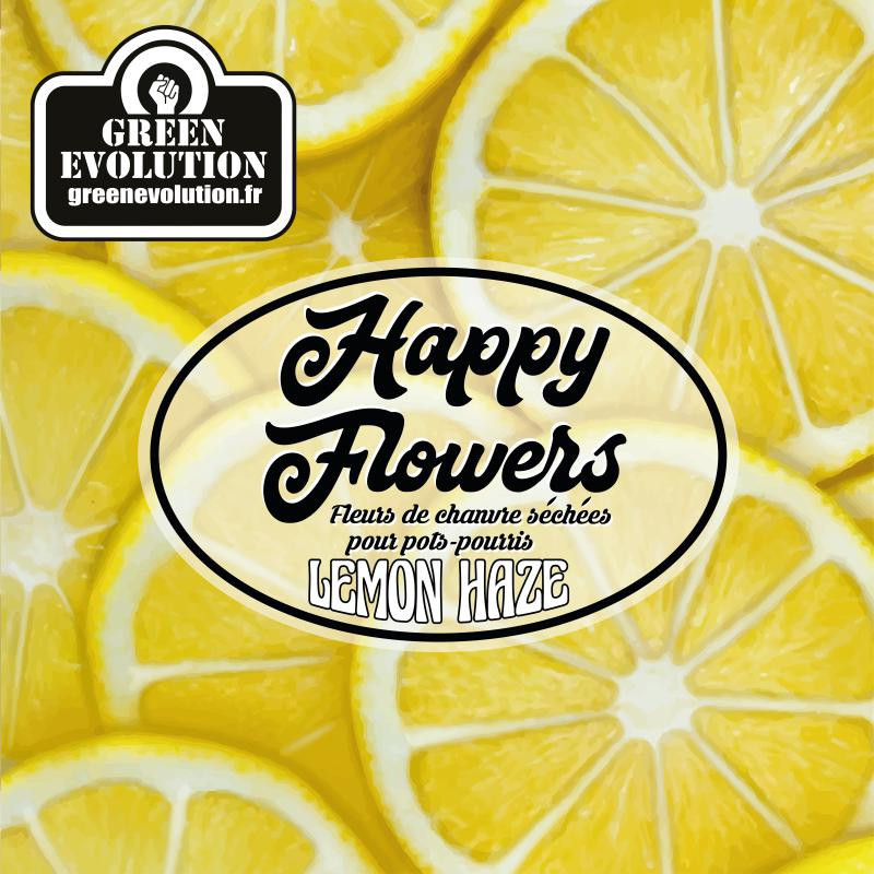 Lemon Haze - Green Evolution - Fleurs de CBD Lemon Haze - Green Evolution - Fleurs de CBD