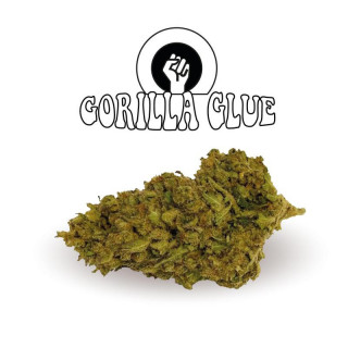 Gorilla Glue - Fleurs de CBD - Happy Flowers - ROOTS.FR