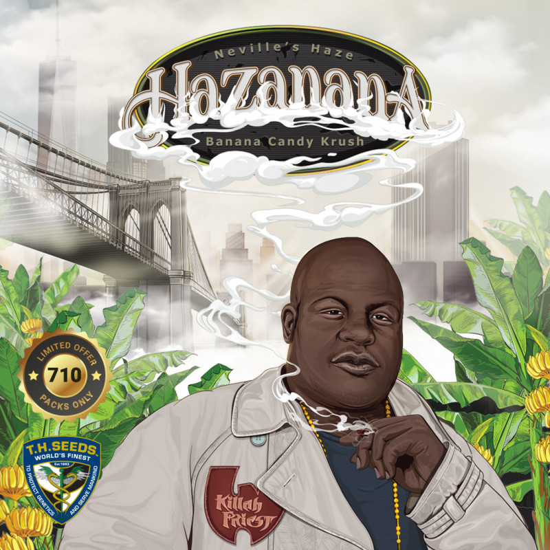Hazanana - Féminisée - T.H. Seeds - Graines de collection Hazanana - Féminisée - T.H. Seeds - Graines de collection