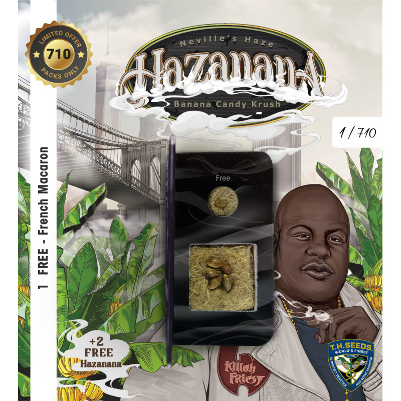 Hazanana - Féminisée - T.H. Seeds - Graines de collection Hazanana - Féminisée - T.H. Seeds - Graines de collection