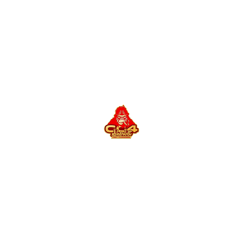 Logo GG4 Sherbet FF Fastbuds Graines de Collection Logo GG4 Sherbet FF Fastbuds Graines de Collection