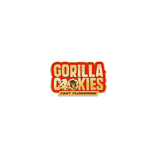 Gorilla Cookies - Féminisée  - FastBuds