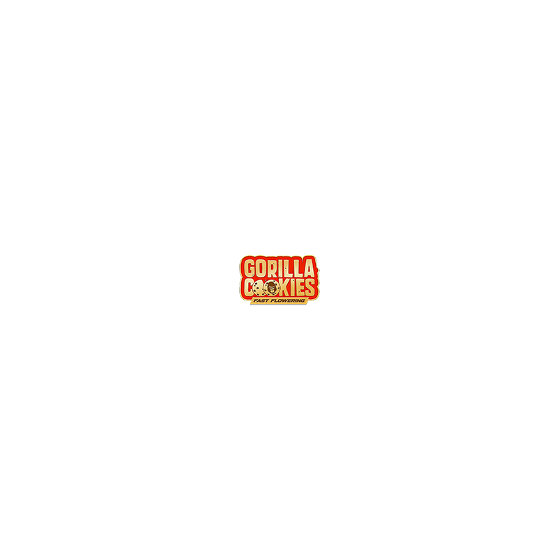 Logo Gorilla Cookies FF Fastbuds Graines de Collection Logo Gorilla Cookies FF Fastbuds Graines de Collection
