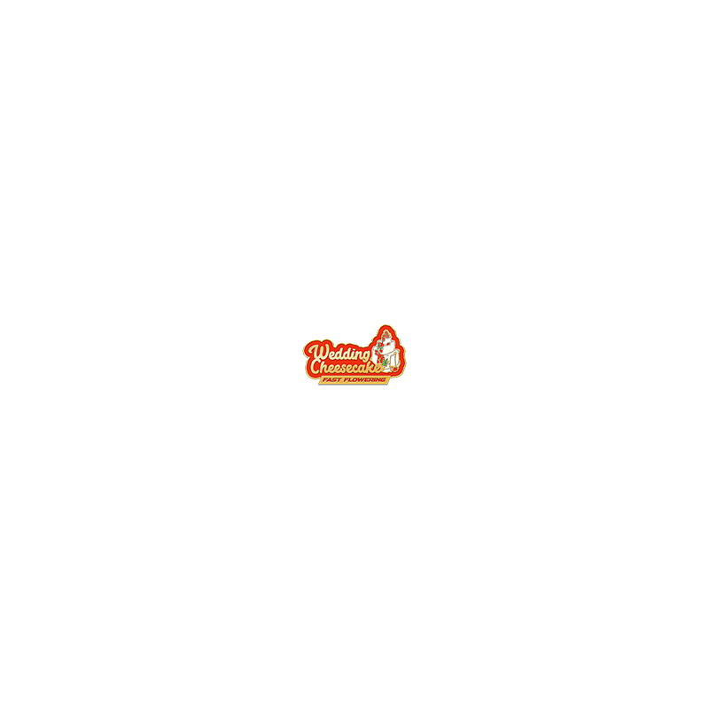 Logo Wedding Cheesecake FF - FastBuds - Graines de Collection Logo Wedding Cheesecake FF - FastBuds - Graines de Collection