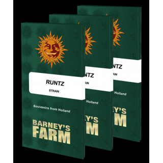 Runtz - Féminisée - Barney's Farm | ROOTS-SEEDS.FR