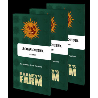 Sour Diesel - Féminisée - Barney's Farm | ROOTS-SEEDS.FR