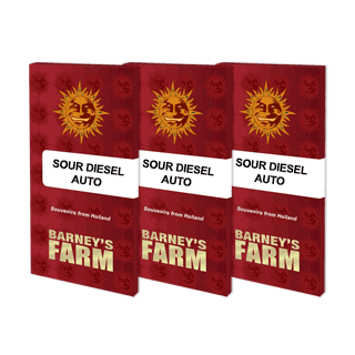 Sour Diesel - Autofloraison - Barney's Farm | ROOTS-SEEDS.FR
