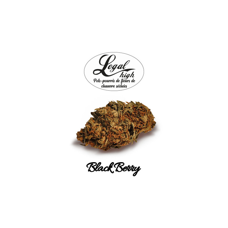 Black Berry - Etiquette - Legal High Fleurs de CBD Black Berry - Etiquette - Legal High Fleurs de CBD