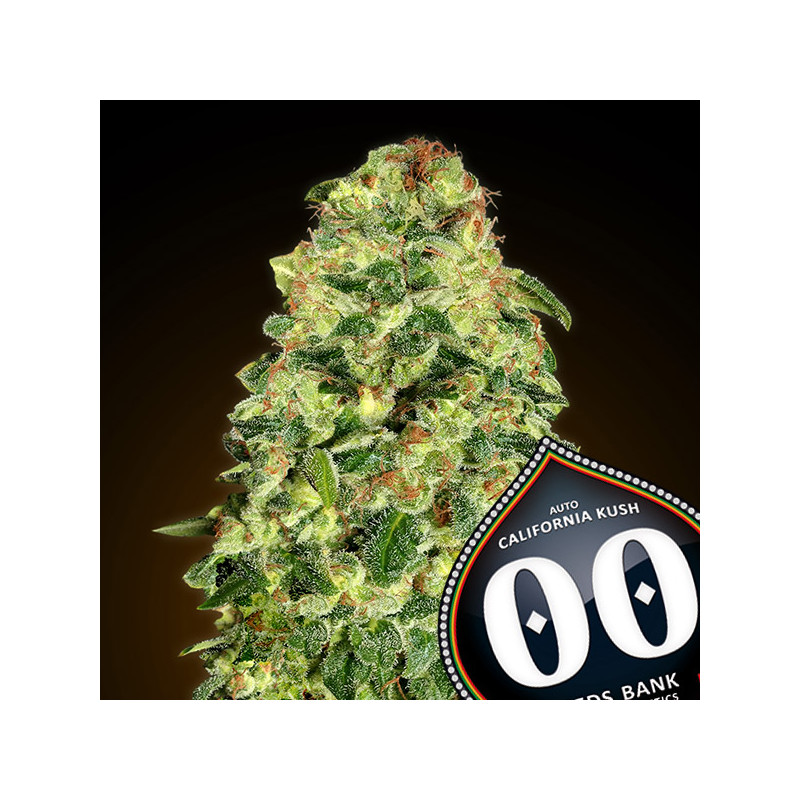 California Kush - Autofloraison - 00 Seeds Bank | ROOTS - SEEDS .FR