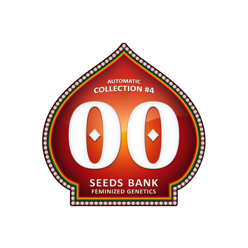 Collection No 4 - Autofloraison - 00 Seeds Bank | ROOTS-SEEDS.FR