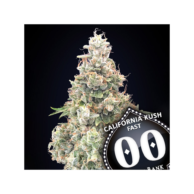 California Kush Fast - 00 Seeds Bank