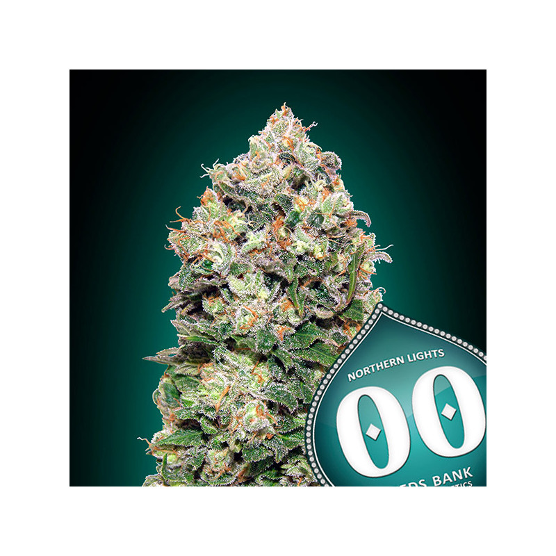 Northern lights - Féminisée - 00 Seeds Bank | ROOTS-SEEDS .FR