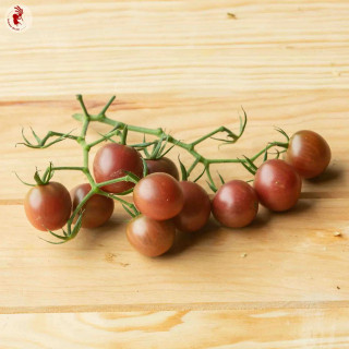 Tomate-Cerise Noire Mi-Saison "Black Cherry" - Kokopellli