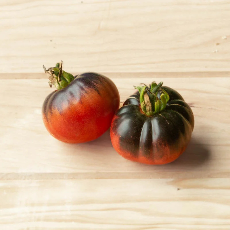 Tomate Indigo Mi-Saison "Blue Beauty" Tomate Indigo Mi-Saison "Blue Beauty"