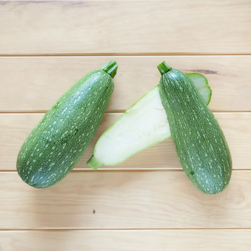 Courgette Petite Grise d’Alger Courgette Petite Grise d’Alger