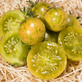 Tomate-Cerise Verte Mi-Saison Abracazebra - Kokopelli